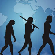 Humanitarian sciences